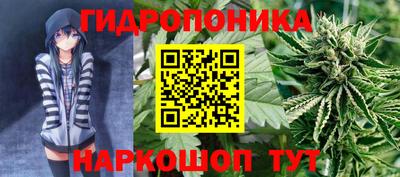 хмурый Дубна