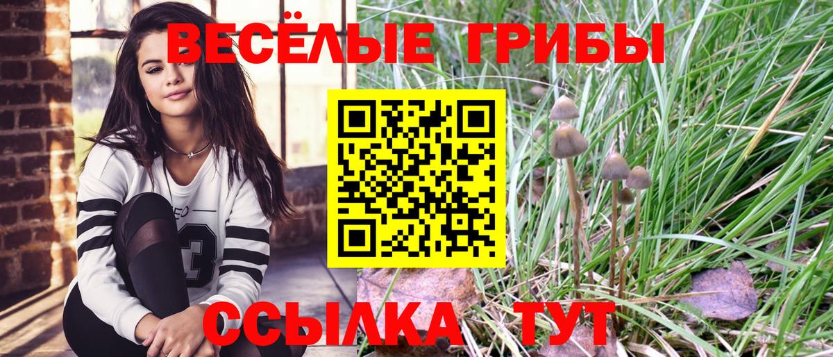 Псилоцибиновые грибы Cubensis  Галлюциногенные грибы GOLDEN TEACHER  Вход с VPN  Россия 