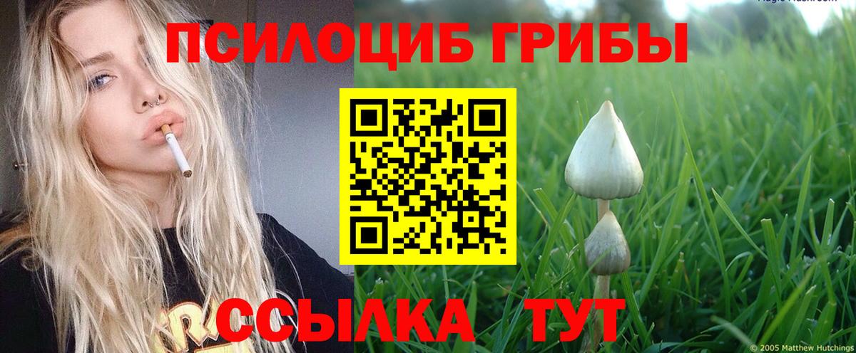 Галлюциногенные грибы прущие грибы Россия